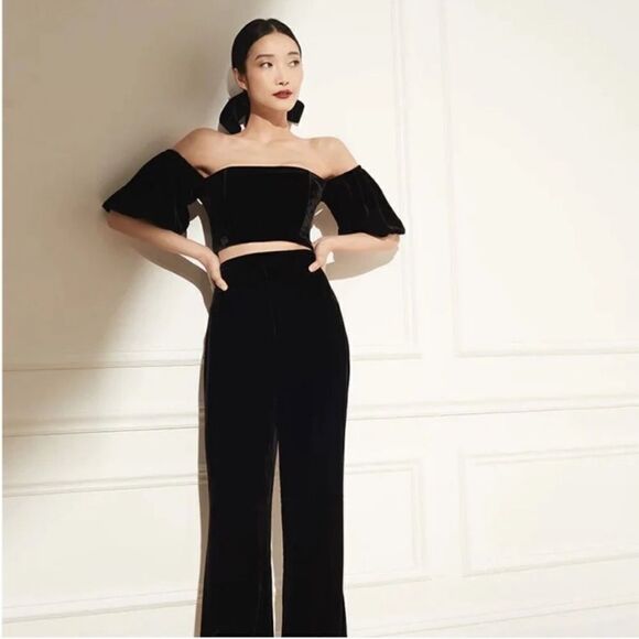 Cara Cara Wethersfield Crop Top in Velvet Puff Sleeves size 2 - Picture 2 of 9